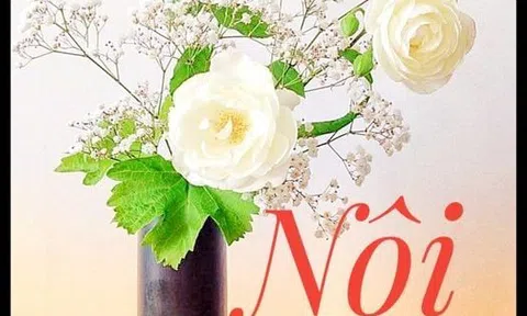 Nội tôi