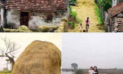 Mùi tháng năm