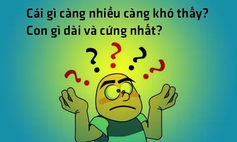 Hiện tượng đồng nghĩa khác dạng và đồng dạng khác nghĩa của câu đố