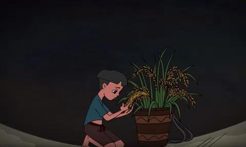 Câu chuyện thóc luộc