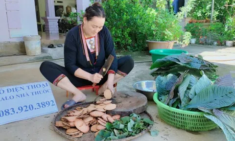 Thầy thuốc Triệu Thị Dung sở hữu bài thuốc gia truyền 4 đời dân tộc Dao