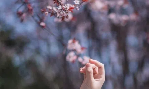 Ngày cuối năm