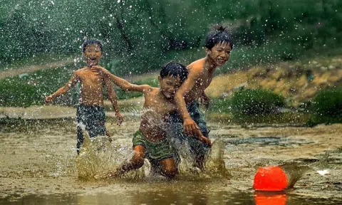 Chuyện những con chạch con lươn
