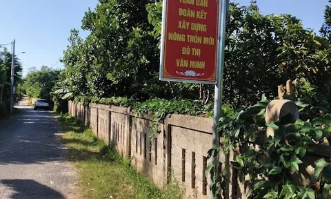 Ôi quê tôi