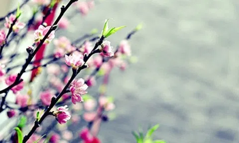 Ra tết và ra giêng