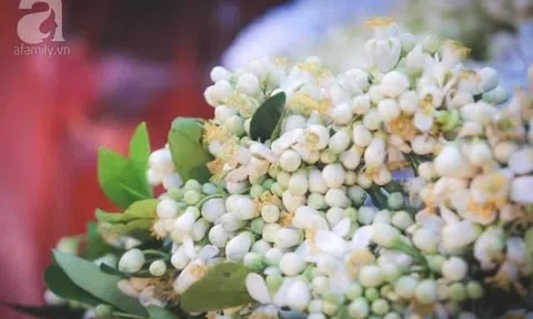 Tháng ba hương bưởi