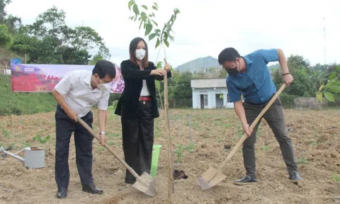 Dự án "Mây Hồng – Phủ hồng đồi xanh": Khoác tấm áo hoa mới cho huyện Khánh Sơn