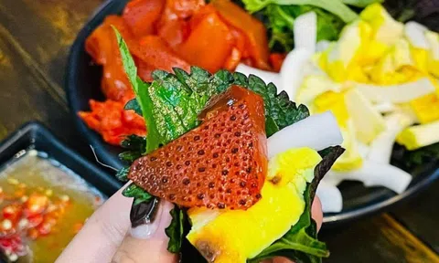 Sứa đỏ - Thức quà dành cho những người sành ăn