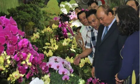 Hỗ trợ phát triển HTX Nông nghiệp trong tình hình mới: Những vấn đề thiết thực cần trao đổi