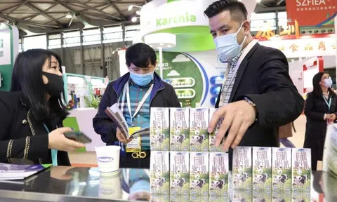 Giám đốc Kinh doanh SST: Nhà đầu tư đang tìm kiếm những cổ phiếu chuẩn bị tốt cho chu kỳ tăng trưởng mới như Vinamilk