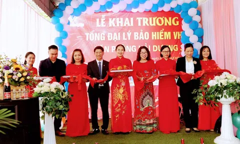 CTCP Tư vấn và Đào tạo VHP VN khai trương tổng đại lý Bảo hiểm VHP Hải Dương 3