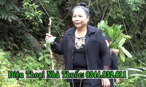 Nhà thuốc Gia truyền Nguyễn Thị Hội, hơn 20 năm gìn giữ