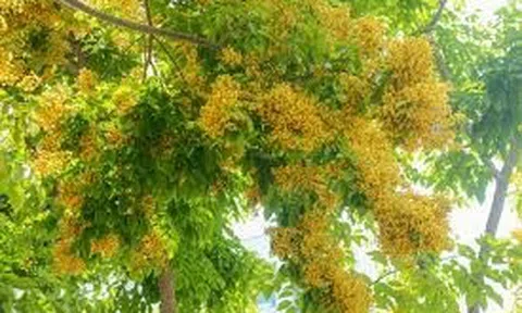 Đừng nghe đàn ông nói