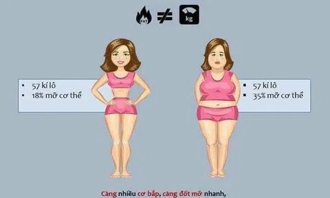 Hiệu quả thật sự đằng sau việc sử dụng trà sen giảm cân