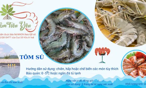 Chứng nhận đăng ký nhãn hiệu và bảo hộ thương hiệu Tôm Tiên Yên do Cục Sở hữu Trí tuệ cấp
