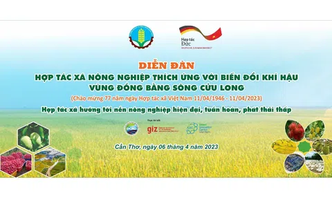 HTX hướng tới nền nông nghiệp hiện đại, tuần hoàn và phát thải thấp