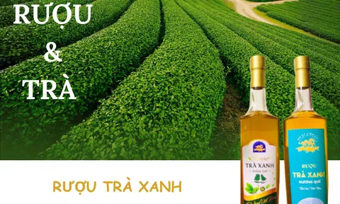 RƯỢU TRÀ XANH - QUỐC ẨM CỦA DÂN TỘC VIỆT NAM