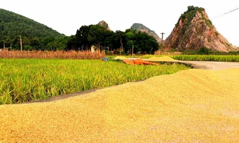 NHỚ QUÊ
