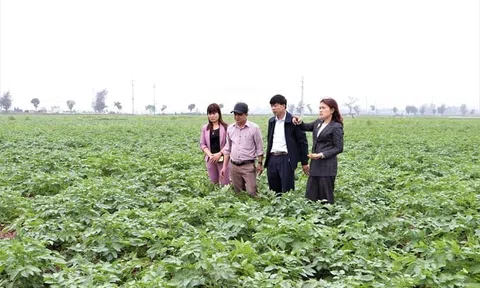 Xây dựng chính sách đặc thù khuyến khích phát triển nông nghiệp trên TP Hà Nội