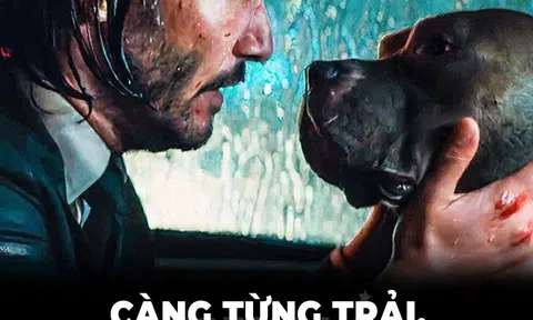 CÀNG TỪNG TRẢI CÀNG THẤU HIỂU....