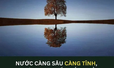 Càng tĩnh càng đáng nể ...