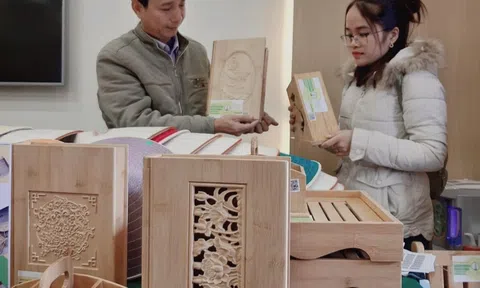 Ngỡ ngàng tre Việt