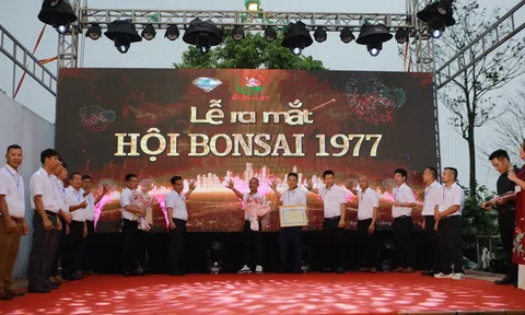 Ra mắt Hội Bonsai 1977 và khai mạc Triển lãm Cây cảnh nghệ thuật, bể đá cổ năm 2024