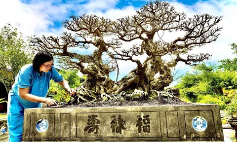 Hà Nội: Tổ chức Festival Sinh Vật Cảnh Hà Nội lần thứ nhất từ ngày 02-18/9/2024