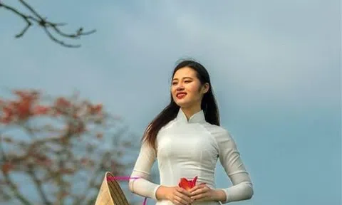 HOA GẠO