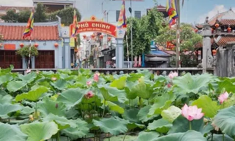 Đạo Mẫu: Di sản tâm linh của người Việt và hành trình Hoằng Khai đầy gian nan của những người giữ đạo