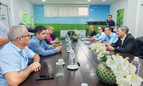 Dấu ấn chiến lược từ dự án chuỗi giá trị lúa gạo bền vững của TBAGRI tại Cuba