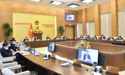 Ủy ban Thường vụ Quốc hội cho ý kiến về báo cáo kết quả giám sát công tác quy hoạch