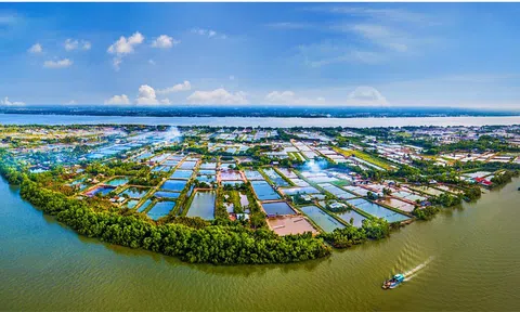 Tổng quan và tiềm năng phát triển của Bến Tre