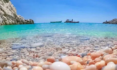 Diễn đàn Đời sống và Phát triển