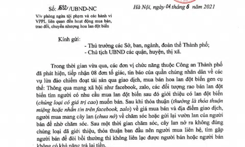 Hà Nội: Chỉ đạo đấu tranh với hiện tượng lừa đảo qua giao dịch lan đột biến và triển khai một số biện pháp để bảo vệ người tiêu dùng, người sản xuất, kinh doanh chân chính