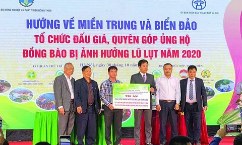 Giải pháp phòng ngừa lừa đảo mua bán lan đột biến và bảo vệ người tiêu dùng, người sản xuất và kinh doanh chân chính