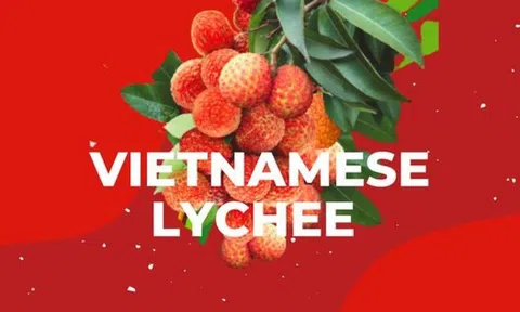 Thương mại điện tử xuyên biên giới chỉ mất 4 - 5 ngày đưa vải thiều Việt Nam đến với khách hàng Châu Âu