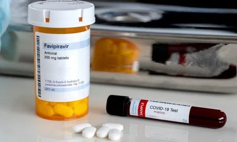 Các nhà khoa học Việt Nam bước đầu tổng hợp thành công thuốc điều trị Covid-19?