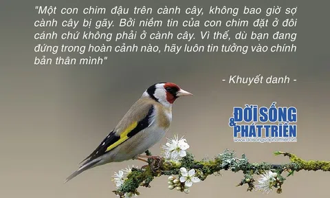Mỗi ngày một câu Danh ngôn: Đặt miền tin đúng chỗ!
