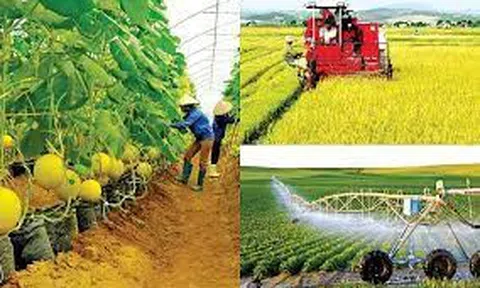 Bản tin Nông thôn và Phát triển ngày 22/02/2022