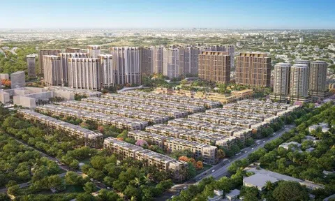 Chủ đầu tư Soho The Global City được đơn vị nào phát triển?