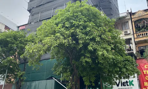 Phường Thanh Nhàn: Công trình “khủng” có dấu hiệu xây dựng sai phép ngang nhiên tồn tại?