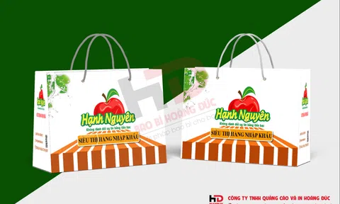 In túi đựng hoa quả - Nâng tầm nông sản Việt Nam