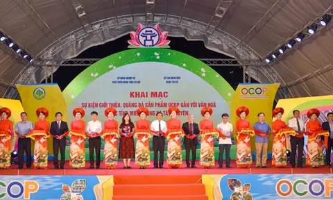 Giới thiệu sản phẩm OCOP gắn với văn hóa các tỉnh Miền Trung - Tây Nguyên năm 2022