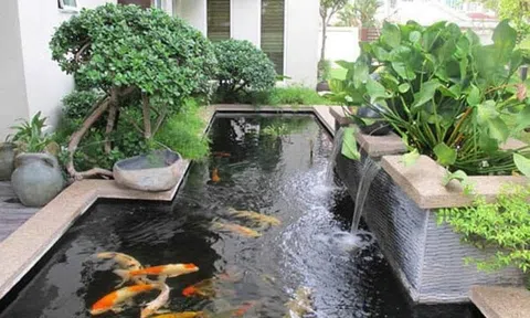 Những tiêu chí cần biết trước khi thi công hồ cá koi