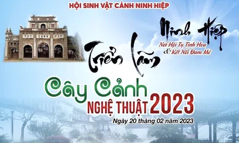 Ấn tượng Triển lãm Cây cảnh Nghệ thuật Ninh Hiệp 2023