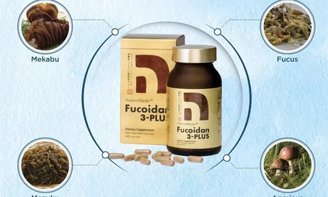 Hợp chất fucoidan giúp cân bằng hệ miễn dịch