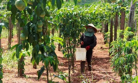 Đắk Nông chú trọng đảm bảo an sinh xã hội