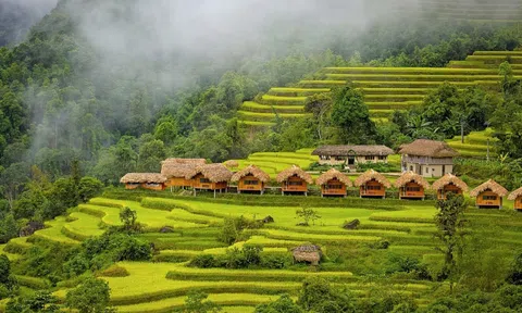 Khám phá Hà Giang: Chuyến phiêu lưu giữa vẻ đẹp hoang sơ