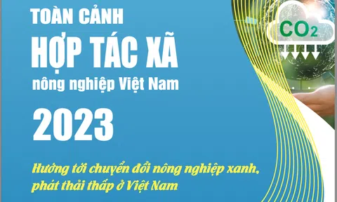 EBOOK: Toàn cảnh hợp tác xã nông nghiệp Việt Nam năm 2023